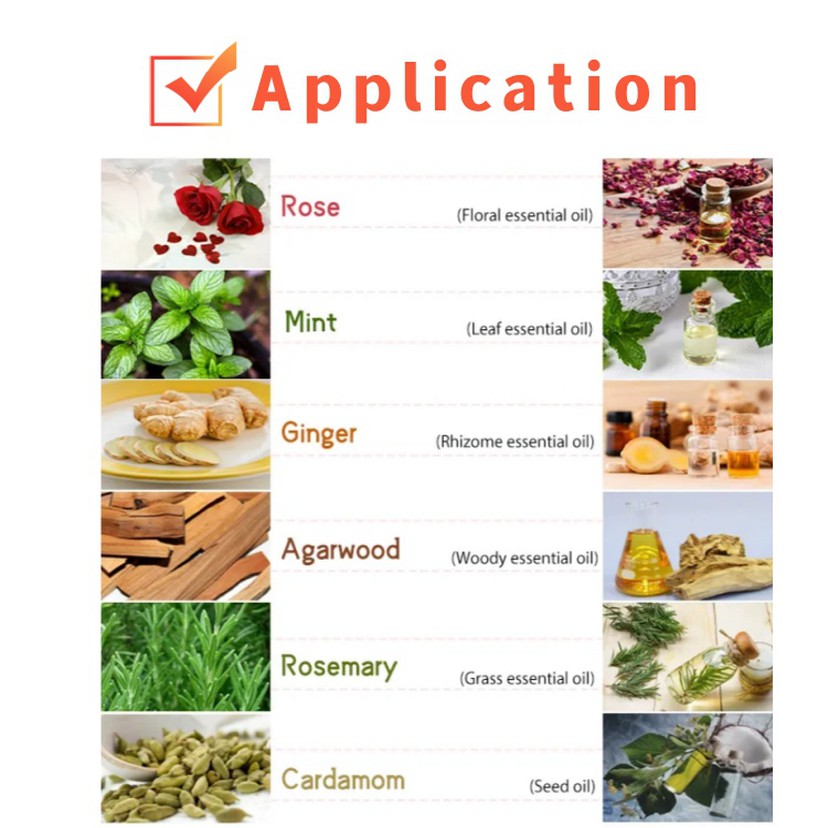 Application Application